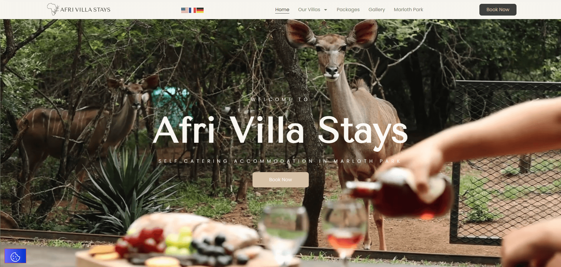 Afri Villa Stays website